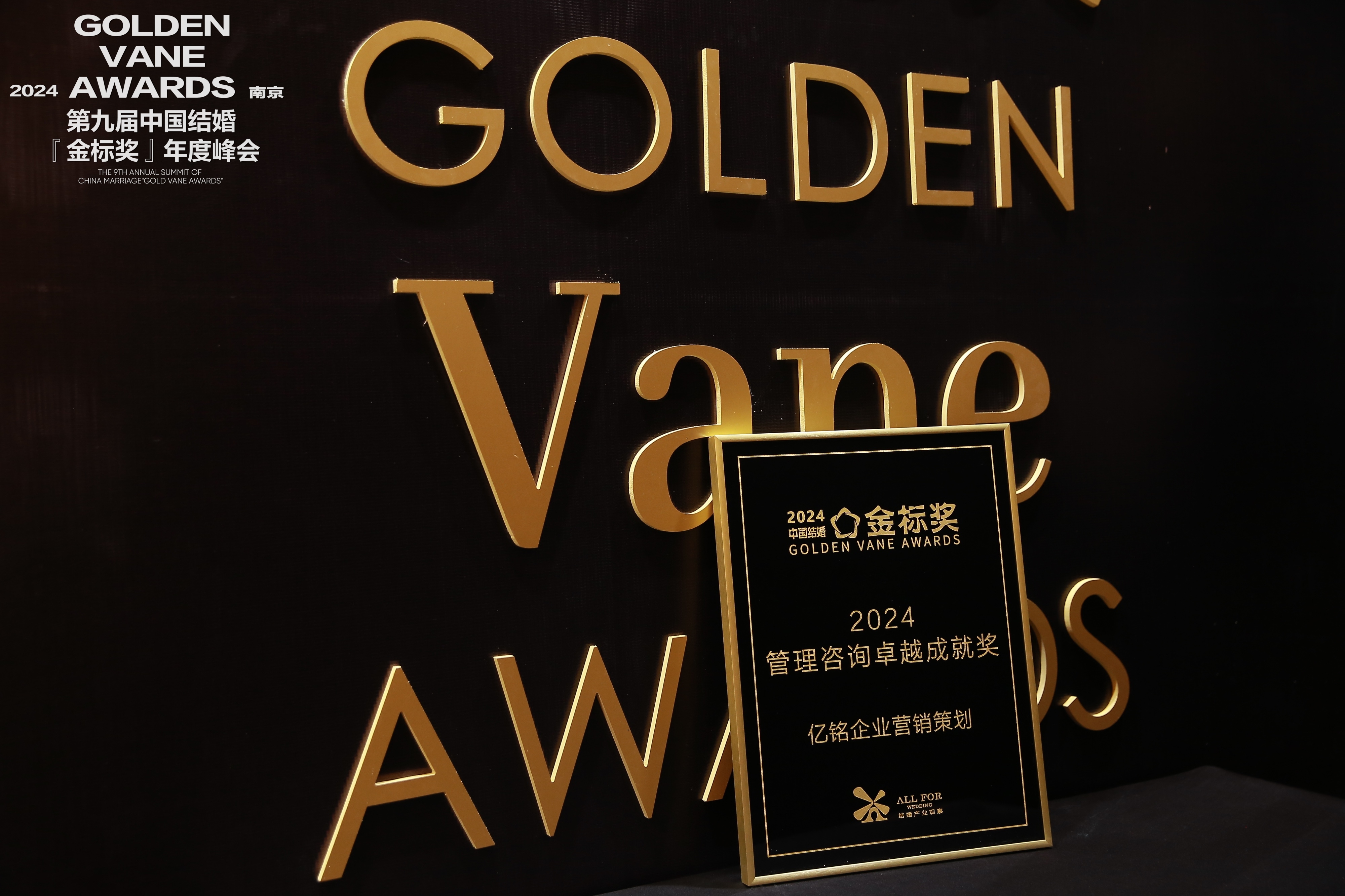 億銘企業(yè)營(yíng)銷策劃，榮獲“2024管理咨詢卓越成就獎(jiǎng)”